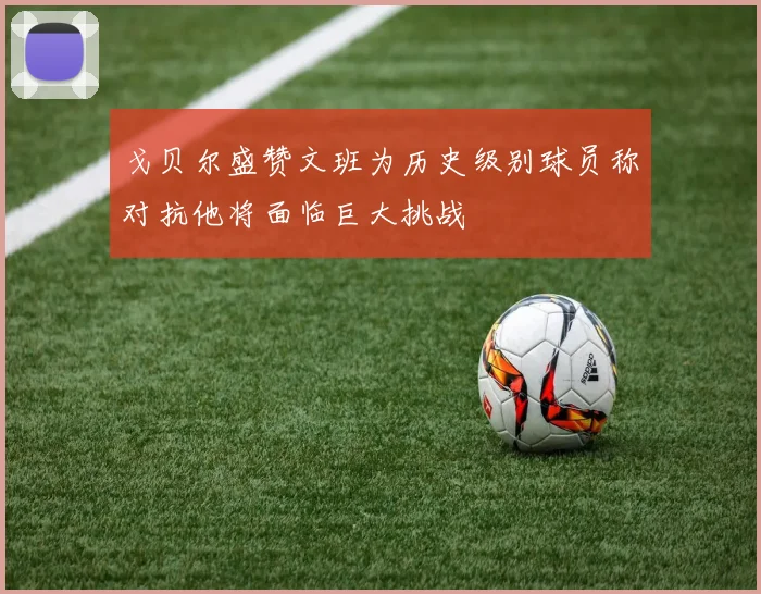 戈贝尔盛赞文班为历史级别球员称对抗他将面临巨大挑战
