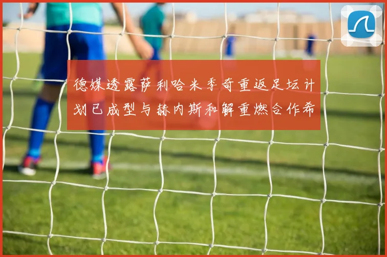 德媒透露萨利哈米季奇重返足坛计划已成型与赫内斯和解重燃合作希望